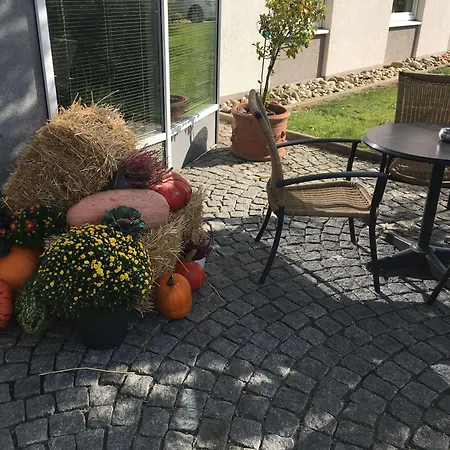 Sunparc - Shuttle Zum Europa-park Rust 4km & Rulantica 2km 호텔 링스헤임